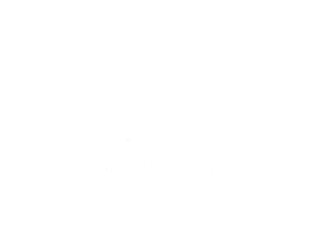 Scheib Institute